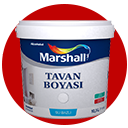 Tavan Boyaları